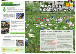 Bloembollen helpen de natuur - Nederlandse BijenhoudersVereniging