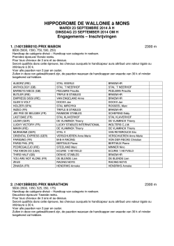 HIPPODROME DE WALLONIE &agrave; MONS