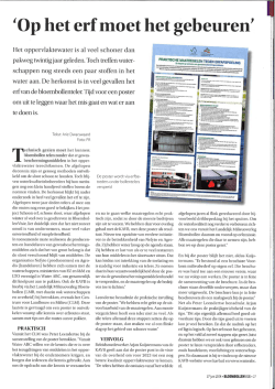 het artikel in Bloembollenvisie