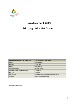 Directieverslag 2013