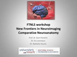 Comparative Neuroanatomy
