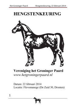 Het Groninger Paard Vlagtwedde