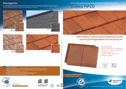 Dubbele HP20 - Imerys Roof Tiles
