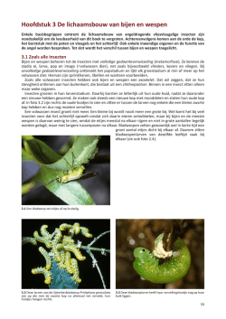 Download - Bestuivers.NL