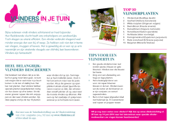 Pagina 1/2: Vlinders in je tuin