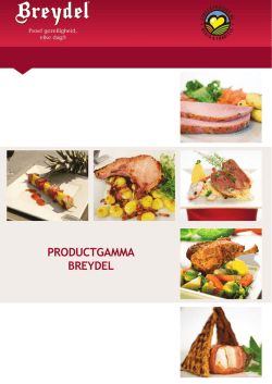 P PRODUCTGAMMA BREYDEL