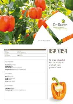 DSP 7054 - De Ruiter