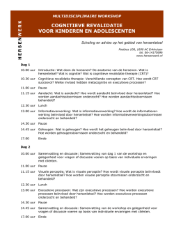Programma - Hersenwerk