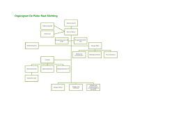 Organigram De Pieter Raat Stichting