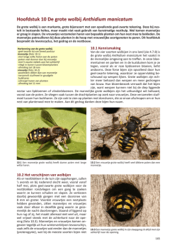 Download - Bestuivers.nl
