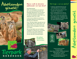 Adoptieouders gezocht