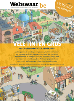 dossier VELE TINTEN GRIJS