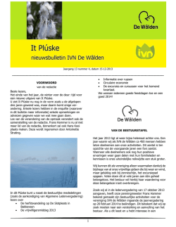 It Pluske 2013 04