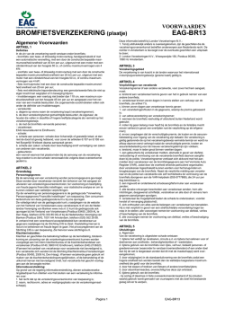 EAG-BR13 BROMFIETSVERZEKERING (plaatje)