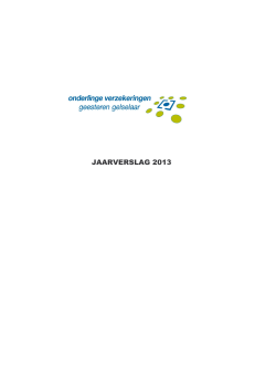 INVULVERSIE JAARRAPPORTAGE 2013 voor PDF .xlsx