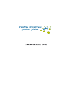 INVULVERSIE JAARRAPPORTAGE 2013 voor PDF .xlsx