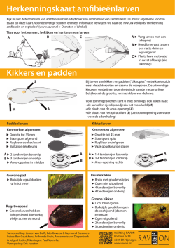 Herkenningskaart Larven