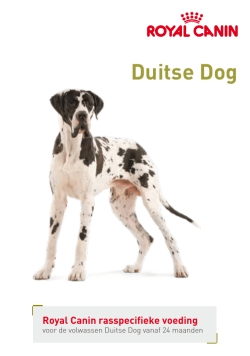 Duitse Dog - Royal Canin