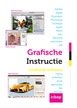 Grafische Instructie