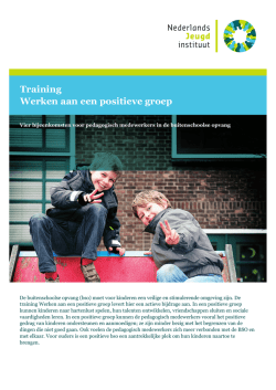 LA305_NJi_flyer invulvlakken_NIEUW-DTP.indd