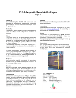 E.B.I.-Inspectie Brandstofleidingen