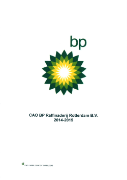 Cao BP RaffinaderijPDF