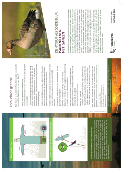 Download de folder over ganzen (pdf - 800 KB)
