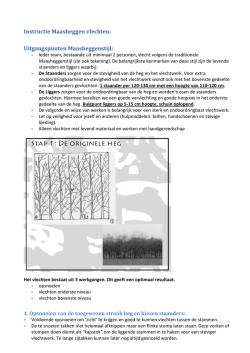 Instructie Maasheggen vlechten: Uitgangspunten