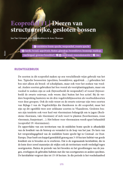 Ecoprofiel 11 | Dieren van structuurrijke, gesloten bossen