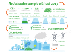 Infographic Nederlandse energie uit hout 2013