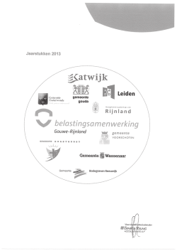 Jaarrekening 2013