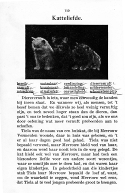 Katteliefde.