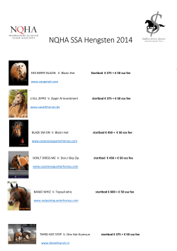NQHA SSA Hengsten 2014
