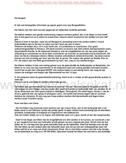 kitten informatie