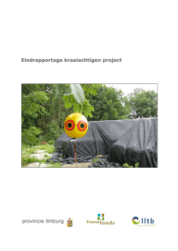 Souren 2013. Rapport Kraaiachtigen project.
