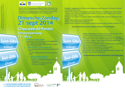 groot buurtfeest - Saint