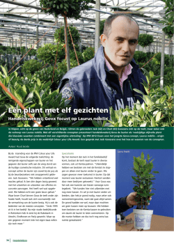 E&eacute;n plant met elf gezichten - Boom-In