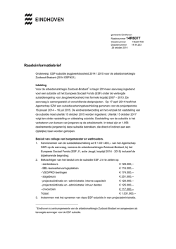 RIB ESF subsidie jeugdwerkloosheid