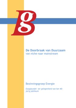 download het essay (PDF, 165 kB)