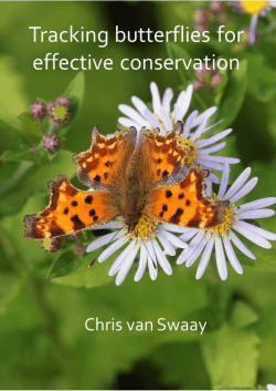 Tracking butterflies for effective conservation