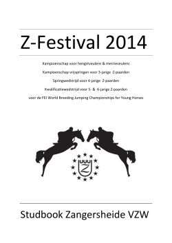 Catalogus Z - Festival 2014