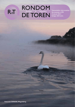 890 - Rondom de Toren
