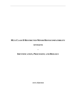 hla class ii restricted minor histocompatibility antigens identification