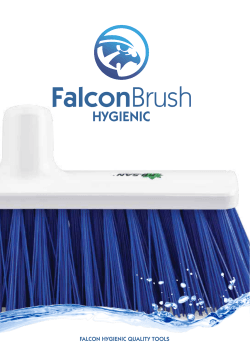 low res - Falcon Brush