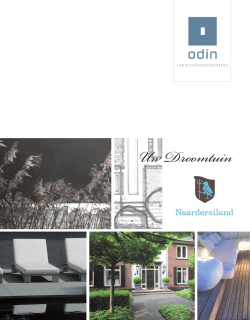 download de brochure