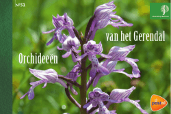 Birza_Design_files/mini PB-Orchid