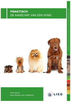 PRAKTISCH DE AANSCHAF VAN EEN HOND