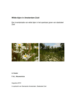 Inventarisatie wilde bijen in Amsterdam Zuid (PDF