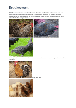 Het Ontstaan Van (PDF)