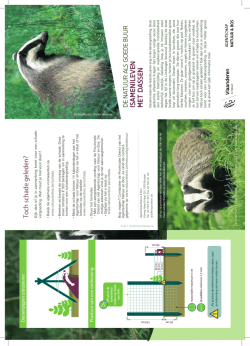Download de folder over dassen (pdf - 500 KB)